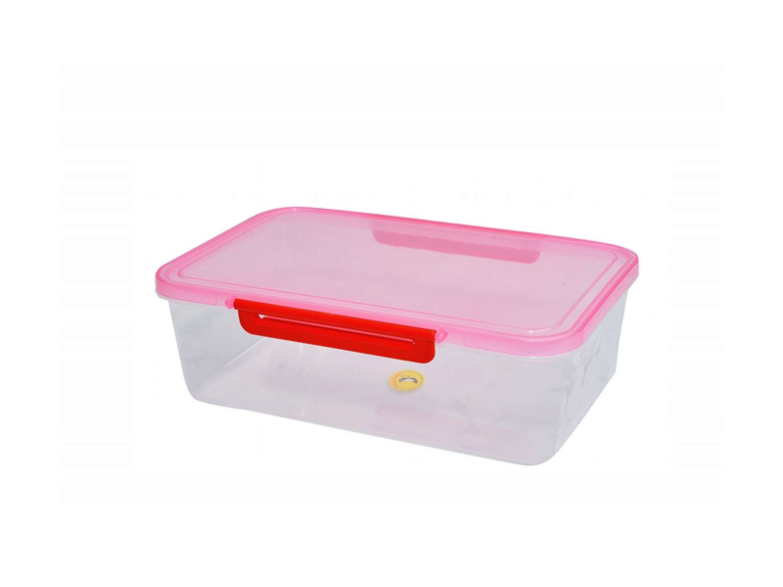 Rectangular Container with Locking Lid