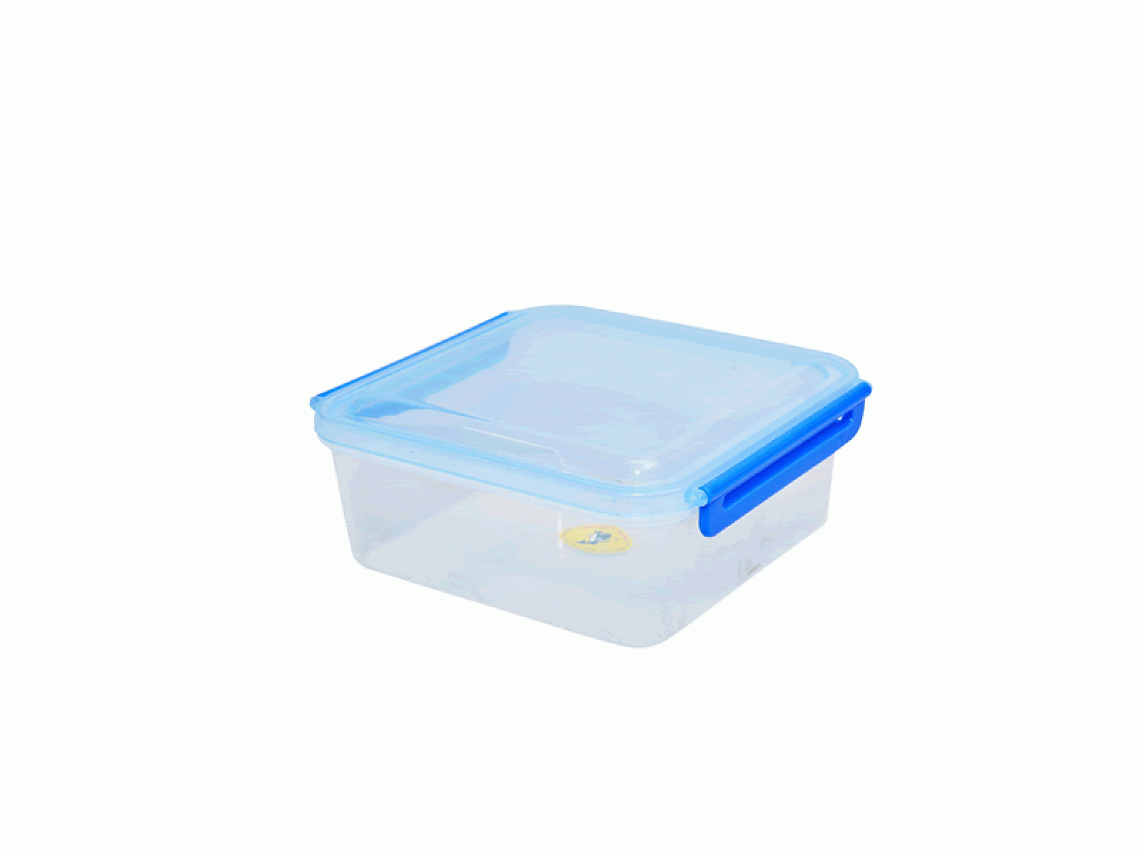 Square Container with 2 Locking Handles- Small