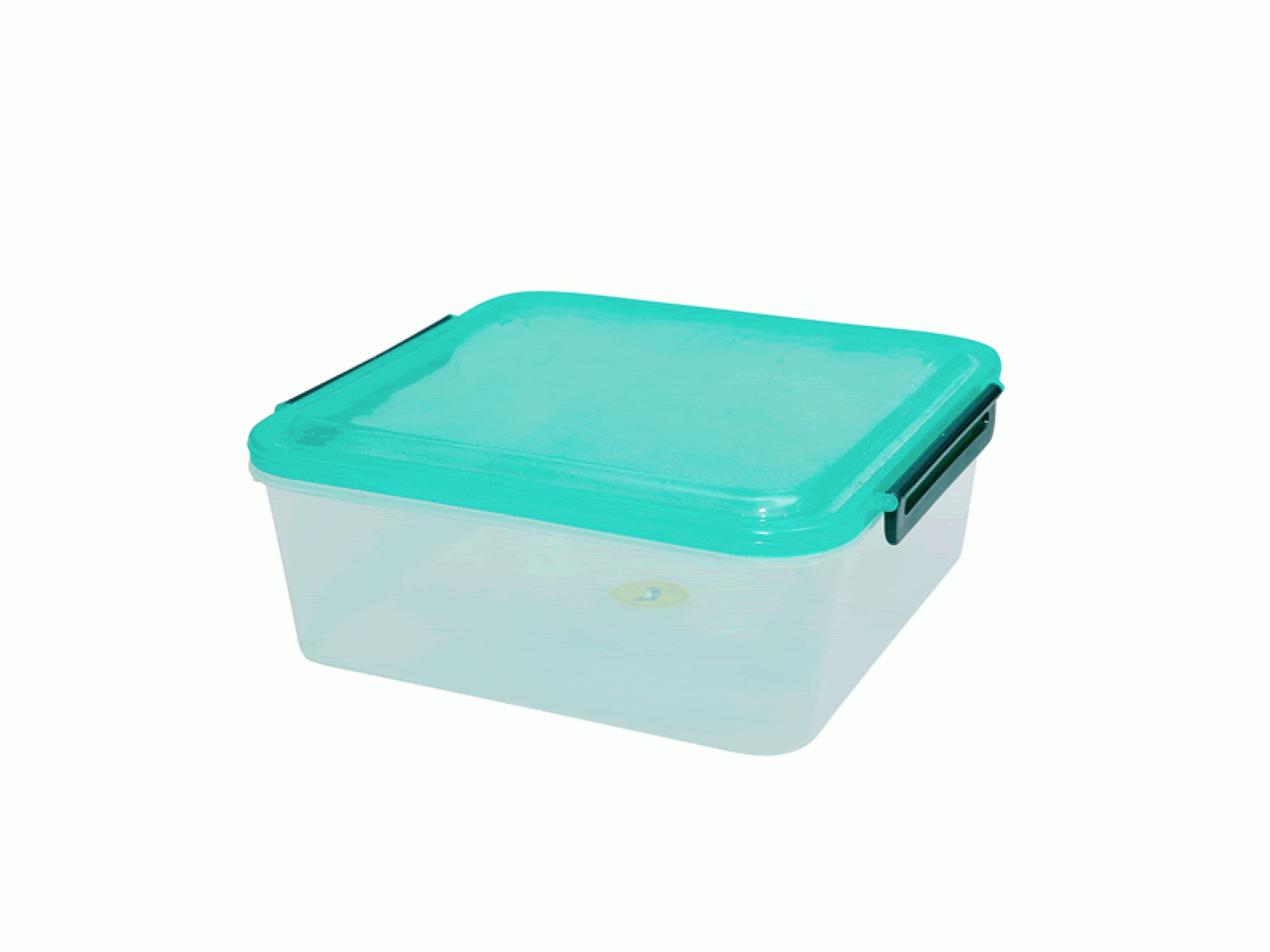 Square Container with 2 Locking Handles - Large