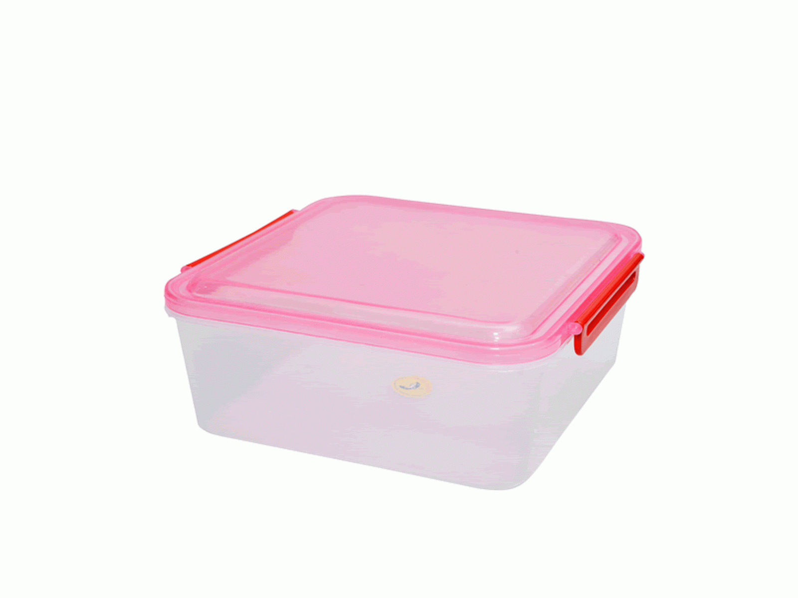 Square Container with 2 Locking Handles - Large
