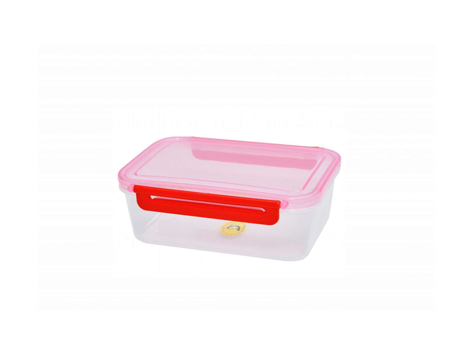 Rectangular Container with 2 Locking Handles- Small
